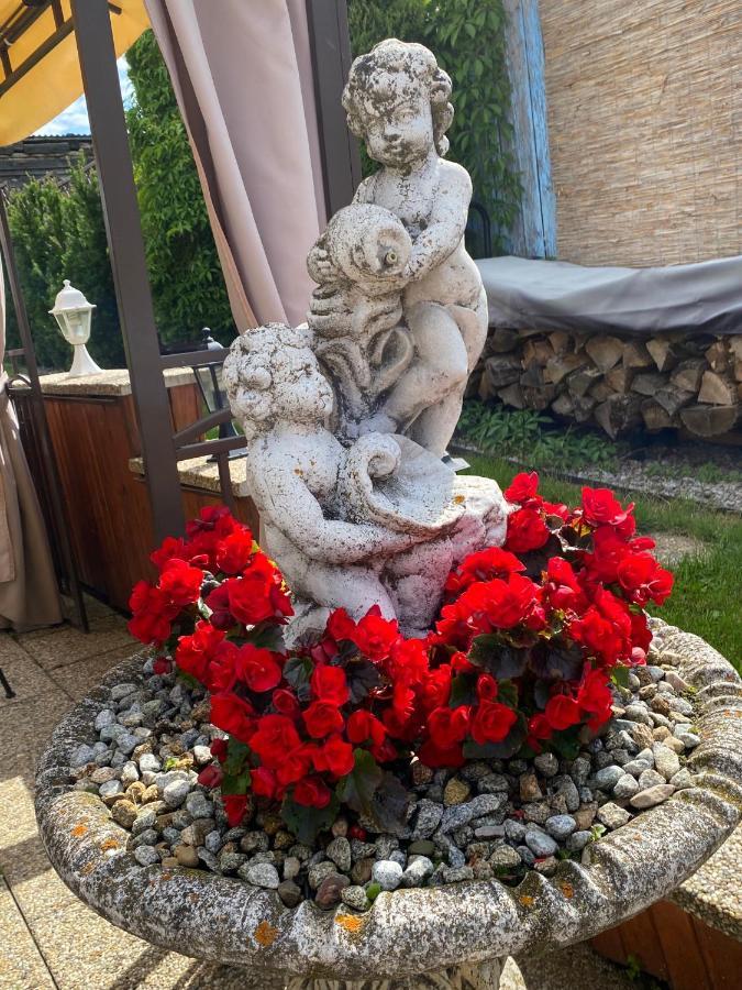 Penzion Vila Petra Bed&Breakfast Velky Slavkov Luaran gambar